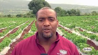 Grace Agro Processors Helps Farmers to Mechanize