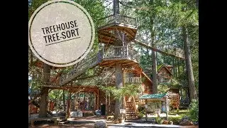 EPIC TREEHOUSE RESORT TOUR! Full Review - Collection of Tiny Tree Houses