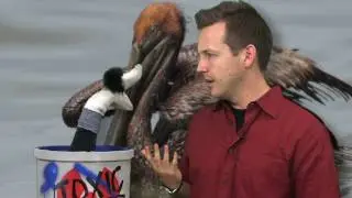 NWF's Climate Capsule: June 14, 2010