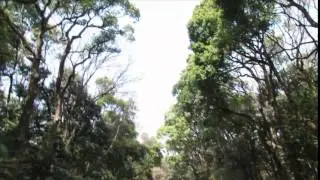 音楽に身を捧げた男【620 Nishikawa】