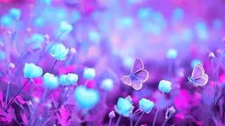 Cosmic Love Music | 528Hz Miracle Healing Frequency | Enhance Self Love | Meditative Music Relaxing