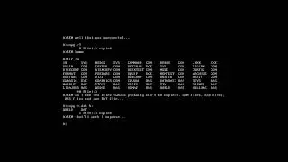 Let's Install! MS-DOS 1 25