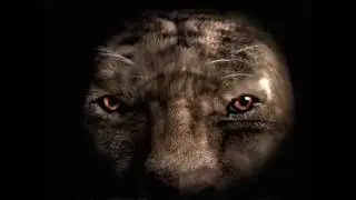 Vivendi Universal Games   Universal Pictures   Tigon Studios   Starbreeze Studios