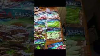 Mejor carnada para robalo #fishing #carretesdepesca #automobile #pescasub #pesca #lineadepesca #fish