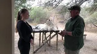 STOP POACHING!
