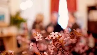 Το ΚΕΘΕΑ-ΣΤΡΟΦΗ στο MagazinoLife
