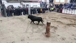 Salida y Detalles del Cerril del Torero en Castellnovo