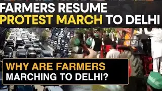 Delhi Sealed as Farmers March Again: Protesters Demand Legal MSP and Compensation Laws