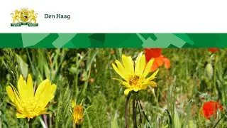 Ecozones, de groene ‘wegen’ voor dieren in onze stad 🦔