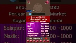 Today Koyambedu Onion Market Rate by SSF ONION | More Details Call - 63806 49577