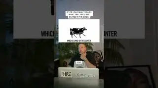 When You Finally Realize What The Lyrics Are Saying In The Polish Cow Song #shorts