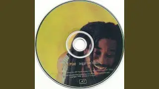 Reggae Rising