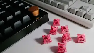 Akko Rose Red Typing Sound Test [Akko 5075S]
