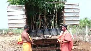 [18 Oct 2025] Dhanteras - Neem Trees Pooja