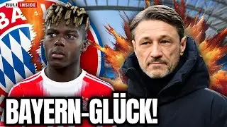 WILLIAMS-ABSAGE als BAYERN-GL&Uuml;CK? 4 BVB-STARS auf PR&Uuml;FSTAND!
