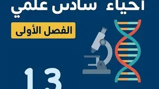 المحاضرة (13) | الفصل الأول 