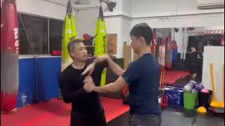 Wing Chun sticking hands free play - Rae Tan