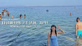 🇪🇬 여행자들의 무덤이라는 다합에서 보내는 일상(with 아싸하우스) | 아이다2 도전! | Free Diving Life in Dahab | 세계여행 이집트Egypt #1