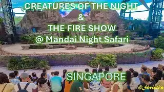 Singapore- Night Safari- Creatures of Night Show & Fire Show Mandai, Singapore 2024