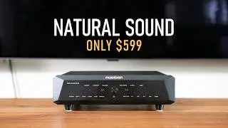 Musician Delphinus - NOS R2R DAC review