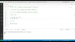 #3 Golang Variables
