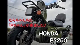 HONDA　PS250　が納車されました！