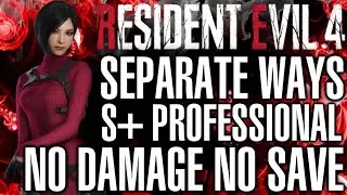 Separate Ways Professional S+  No Damage No Save No Bonus Items No Glitches