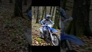 Как выбрать WMS?