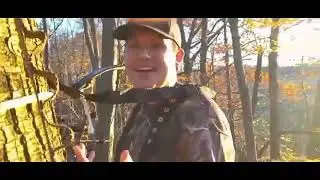 PA Archery Team Buck Poll - Update 2 -#archery #hunting