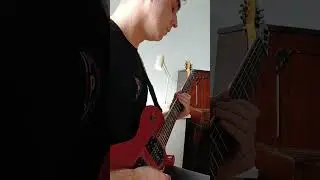 Rogulin - Massive (guitar playthrough)