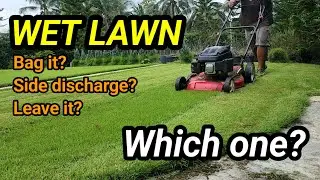 🌧️ Wet Lawn Mowing Test | Bag it? Side Discharge? Or Leave it?
