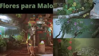 Stray flores malo quest