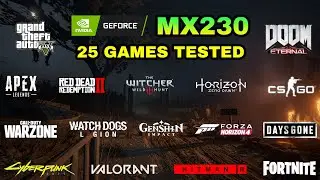 Nvidia GeForce MX230 Test in 25 Games in 2021