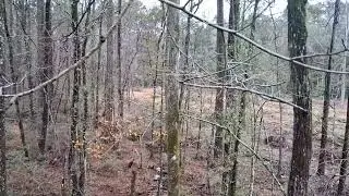 Primitive weapon 2025 deer season