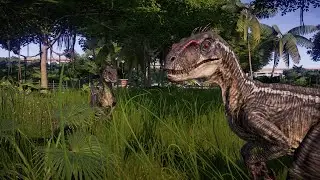 Raptor on the Loose! | 