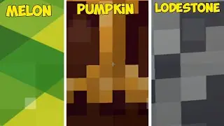 Minecraft zoomed photo🙄