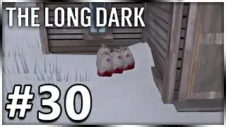 Making Meat Last Long By Quartering It | The Long Dark Survival In 2022 | Part 30