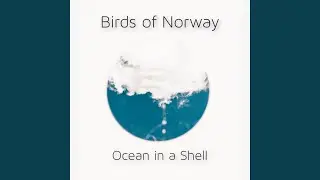 Ocean In A Shell