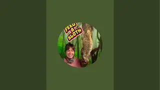 Sloths
