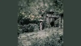 Timeless Connection