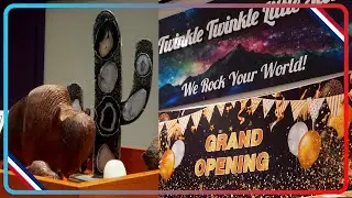 FIRST DAY! Twinkle Twinkle Little Store&rsquo;s GRAND OPENING [Frontier Mall] (Cheyenne, WY)