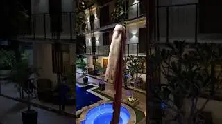 🧚&zwj;♂️🧚&zwj;♀️🧚Renato's Place private resort🧚&zwj;♂️🧚&zwj;♀️🧚 || ReeKeeVlogs 1K😁 is live