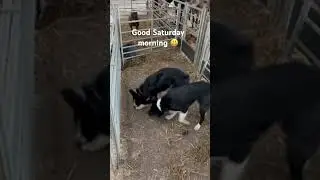 Farmer Pete with a Saturday morning update 🙏