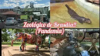 Visita ao Zoológico de Brasília (pandemia)