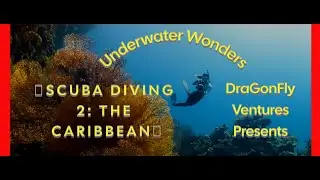Scuba Diving 2 - 'The Caribbean' #scubadivingaddicts #aivideobooks
