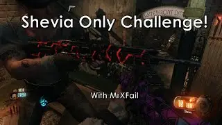 THE CUMULUS STRUGGLE! shevia only challenge co-op with MrxFaiL