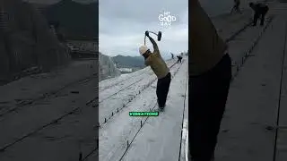 Выглядит слабее... Но на самом деле умнее #shorts