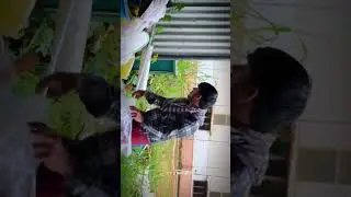 TinkerHub CCE presents Useless Projects 2.0