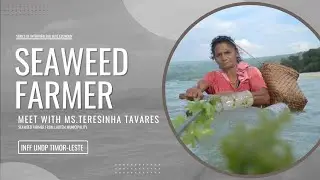 Seaweed Farmer from Lautem Municipality