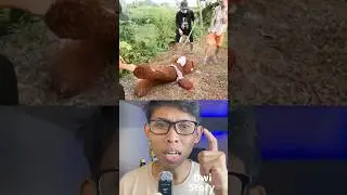 VIRAL : Boneka Ini Ternyata Bisa Bergerak 😱 #viral #filmpendek #storytelling